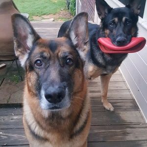 Meet your Posher, Ted